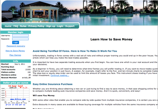 Financial advice website